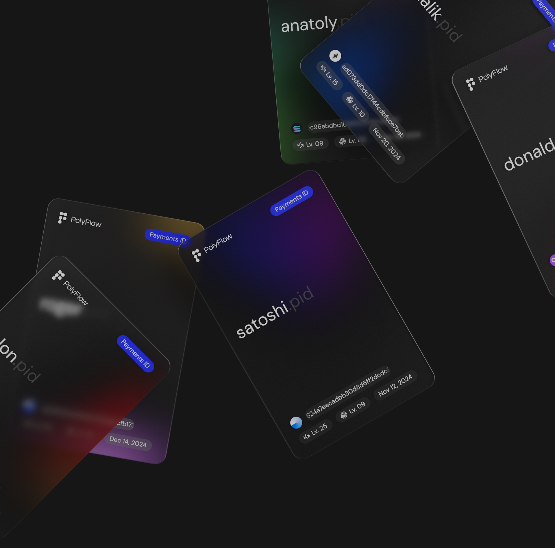 Payment IDs